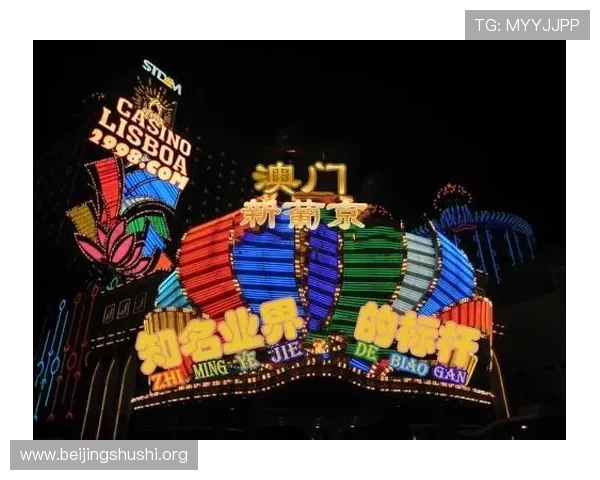 澳门新葡京真人手机版最新安全技术保障，确保玩家信息安全无忧