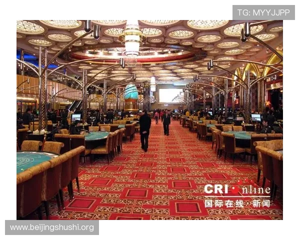 澳门新葡京集团娱乐平台的未来发展趋势与创新方向深度分析