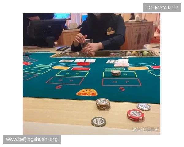 澳门葡京人：在澳门葡京赌场工作的人们的日常生活与职业体验